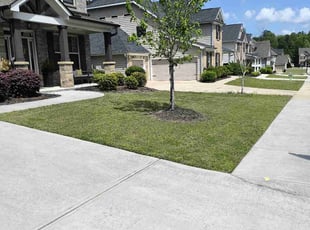 Victoria P.'s yard maintenance service result