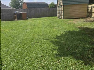 Ray K.'s turf care service result