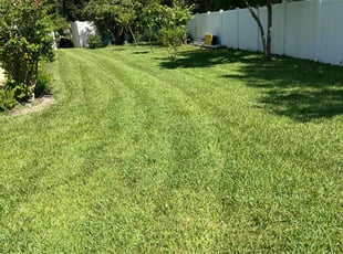 Edward R.'s lawn maintenance service result