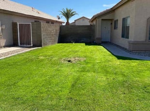 Robert S.'s grass cutting service result