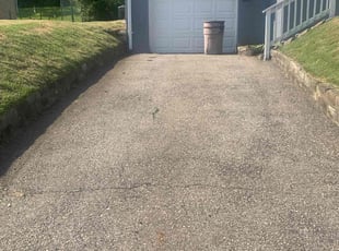 Dominique N.'s grass cutting service result