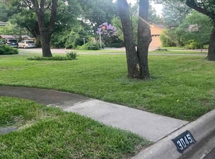 Steven S.'s grass maintenance service result