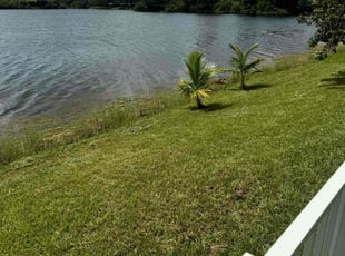 Brian E.'s lawn service service result