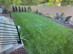 Ivette C.'s turf maintenance service result