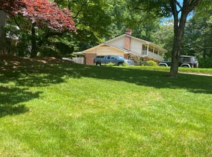 Aaron W.'s turf care service result