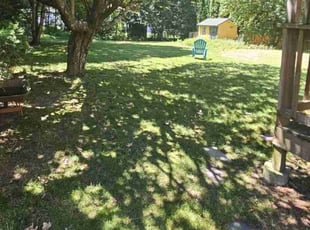 Mr B.'s lawn care services service result