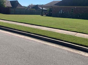 Angelo J.'s grass maintenance service result