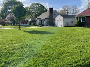 Marchelle L.'s lawn care service result