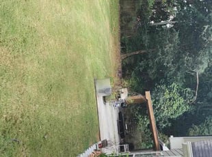 Debra S.'s lawn care services service result