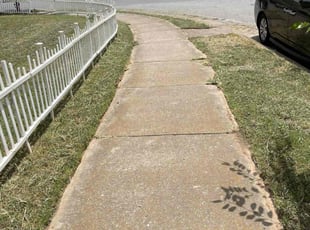 Toccara J.'s turf maintenance service result