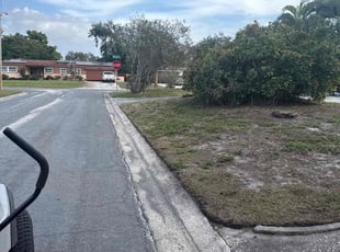 Richard C.'s turf maintenance service result