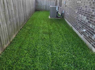 Michael H.'s turf maintenance service result