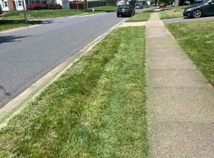 James T.'s turf care service result