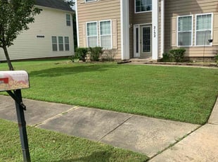 Sonya G.'s lawn care service result