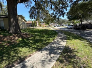 Dave H.'s turf care service result