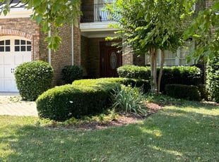 Debra B.'s Bush Trimming service result