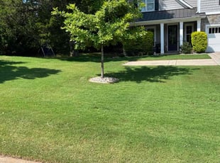 Rochelle M.'s turf care service result