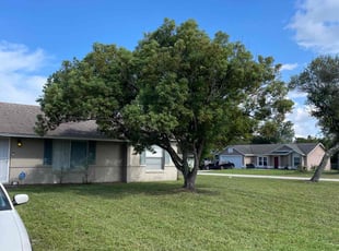 Kelvin D.'s lawn care service result