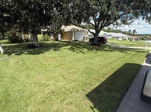 Teresa G.'s turf maintenance service result