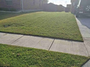 Nan L.'s turf care service result