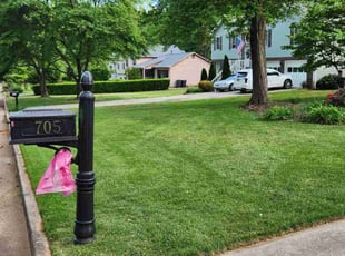 Joe S.'s lawn care service result