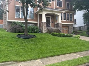Robert D.'s lawn care service result