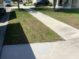 Farhan Q.'s grass maintenance service result