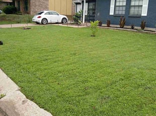 Edgar D.'s lawn maintenance service result