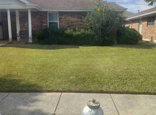 Linda H.'s Bush Trimming service result