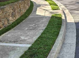 Phong T.'s lawn maintenance service result
