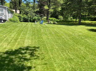Juno J.'s lawn service service result