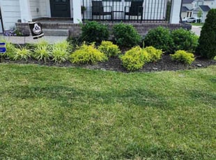 Brenda M.'s lawn care service result