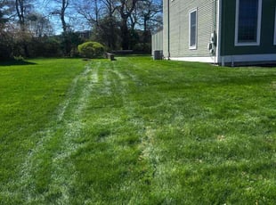 Robert H.'s lawn maintenance service result