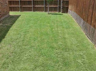 Jon A.'s Cleanups service result