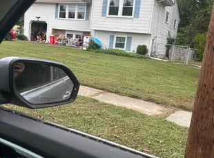 Carlos D.'s grass maintenance service result