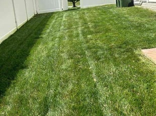 Karen H.'s lawn maintenance service result