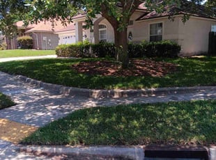 Daryl M.'s lawn care services service result