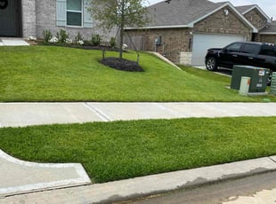 James S.'s lawn care service result