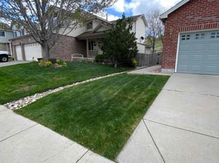 Donald S.'s grass cutting service result