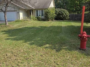 Jerolyn M.'s lawn maintenance service result