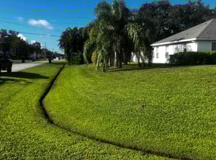 Anthony C.'s lawn care services service result