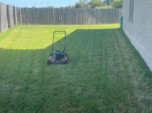 Katelin H.'s turf care service result