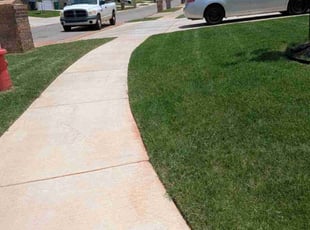 Moezz H.'s grass maintenance service result