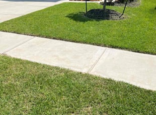 Roland S.'s grass cutting service result