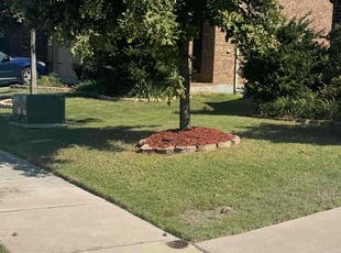 Emily B.'s lawn care services service result