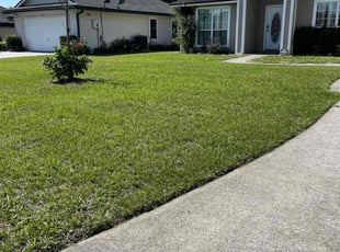 Sarah C.'s turf maintenance service result