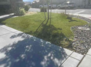 Peggy D.'s turf maintenance service result