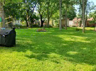 Riley A.'s lawn care service result