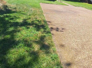 Andrew W.'s grass maintenance service result