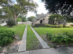 Manija S.'s grass maintenance service result